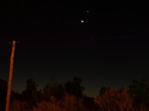 IMG_0729a