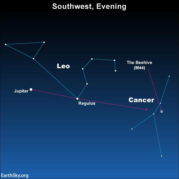 may-2016-jupiter-regulus-leo-cancer-beehive